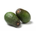 Avocados (Hass) - Premium (Rivas)
